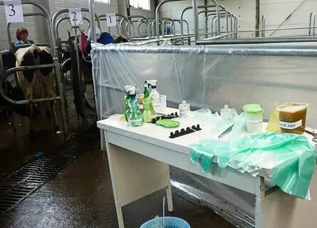 Пункт искусственного осеменения