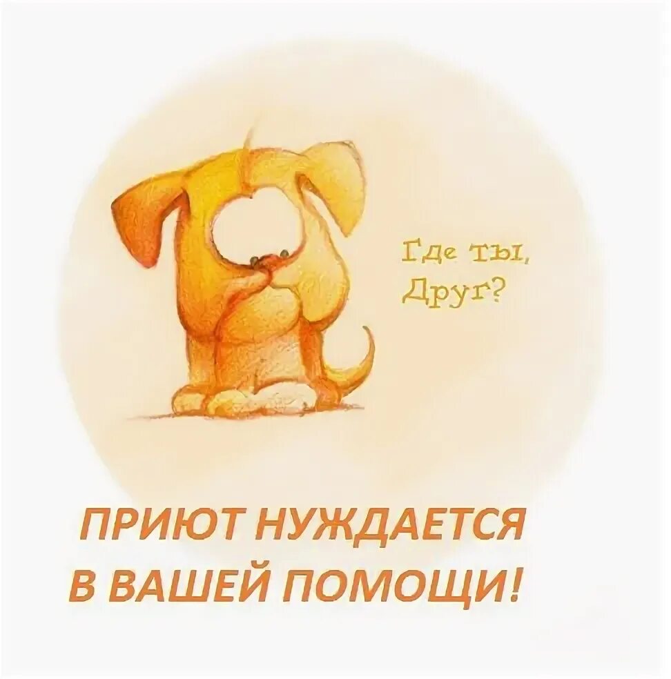 Где же ты картинки. Включи где ты где ты милый. Где же ты картинки. Где ты надпись. Ку ку открытки.