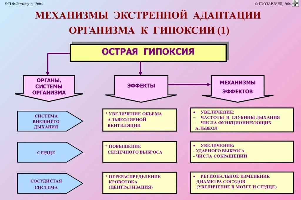 Механизмы адаптации организма к гипоксии. Условия возникновения гипоксии. Первая помощь при гипоксии. Критерии гипоксии.