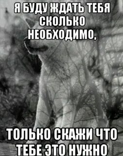 Позвони малышка