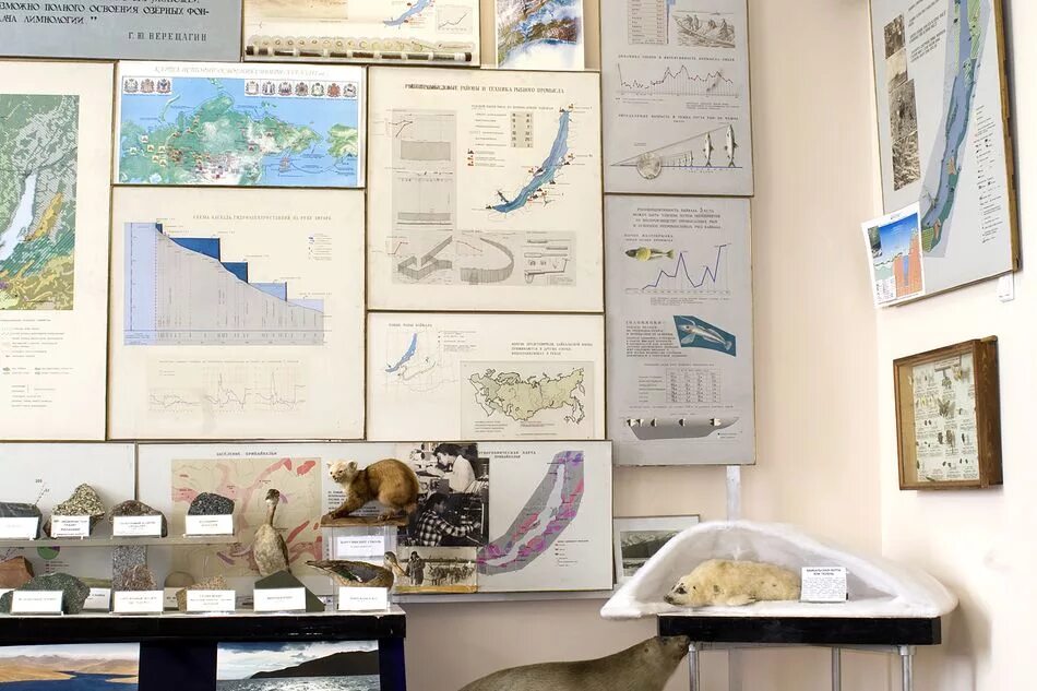 Байкальский лимнологический музей. Байкальский музей в листвянке. Байкальский музей сибирского отделения российской академии наук. Байкальский музей иркутского научного центра. Лимнологический музей.