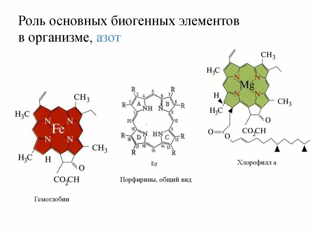 Роль азота в организме. Роль азота в организме и клетке. Роль азота в организме человека. Функции азота в организме.