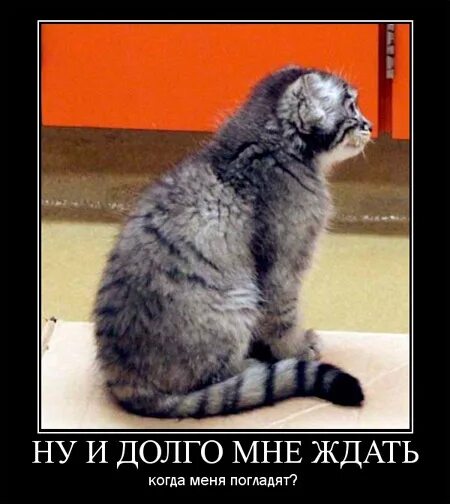 Жду чуда как 20 лет назад текст