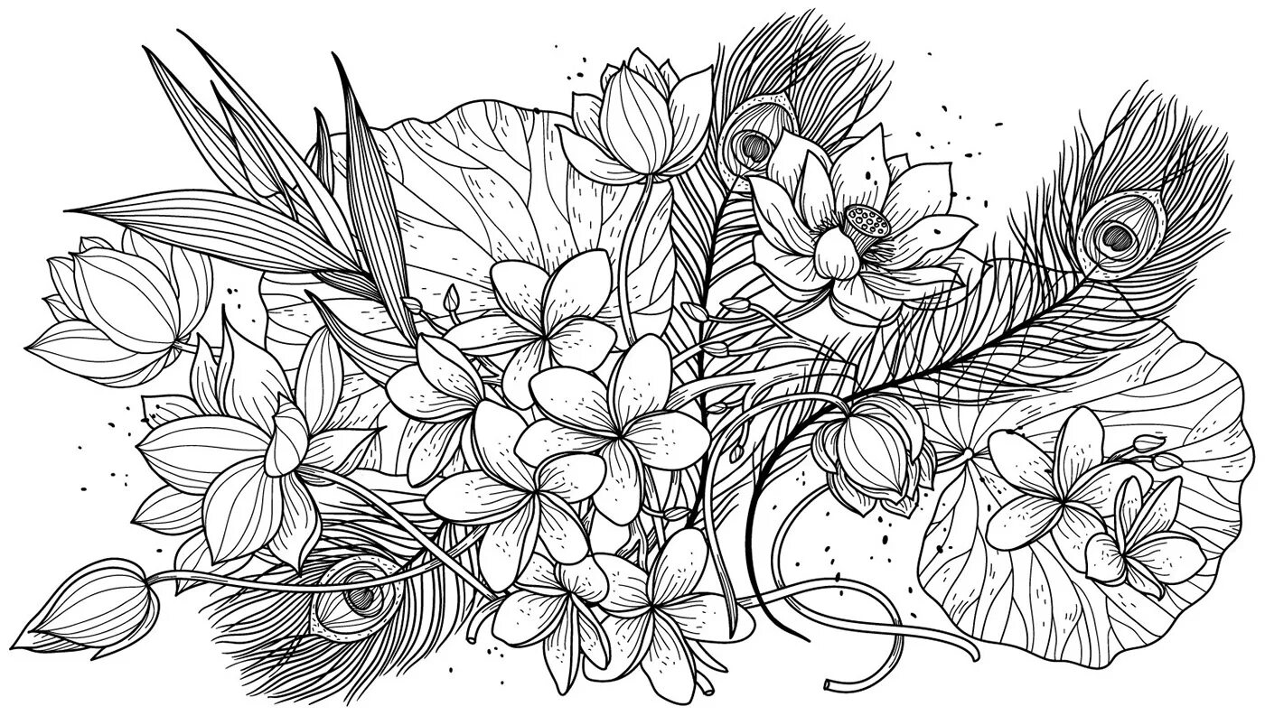 Амариллис раскраска. Nature Sketch outline. Stylized book Color Sketch. Https outline