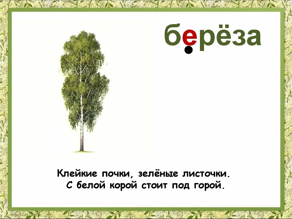 Не куст а с листочками загадка отгадка