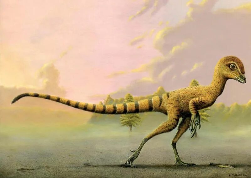 Как назывались маленькие динозавры. Компсогнат. Scipionyx Samniticus. Скипионикс динозавр. Компсогнатус динозавр.