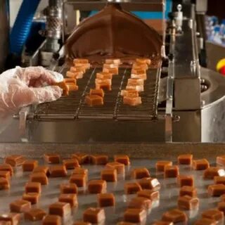На кондитерской фабрике изготовили 9900 шоколадок