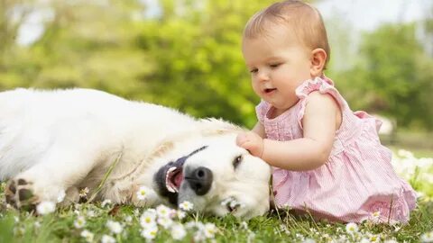 Baby pet