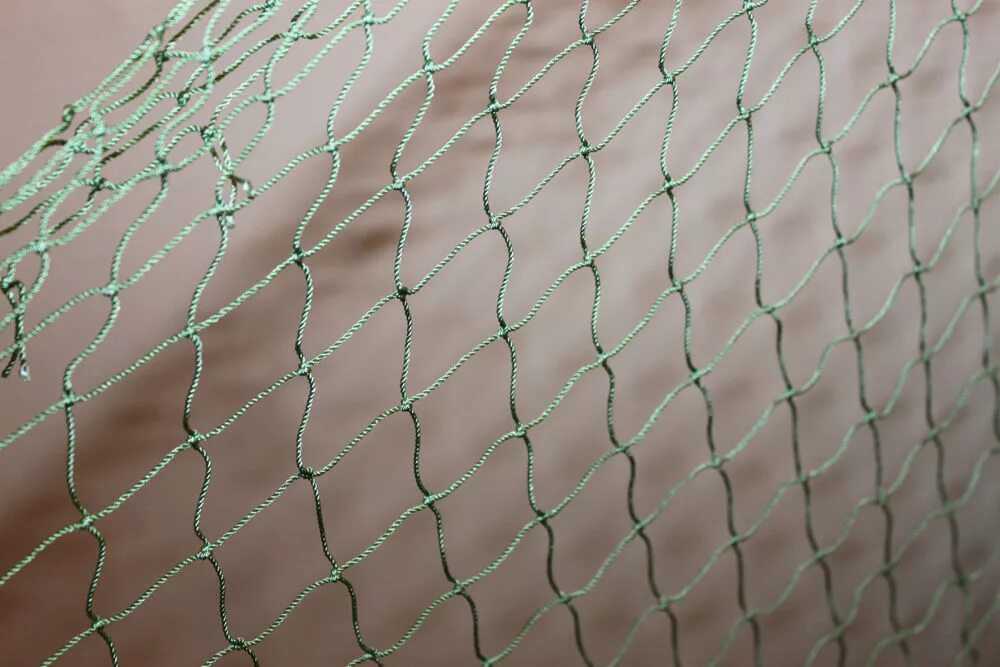 Сеть мм 5 5 см. Сеть рамовая ячея 50 мм. Сетка кладочная 2,5мм 0,5х2 м ячейка 50х50 мм. Дель капрон 36 яч 2 мм. Сетка в2 ebeshpeher.