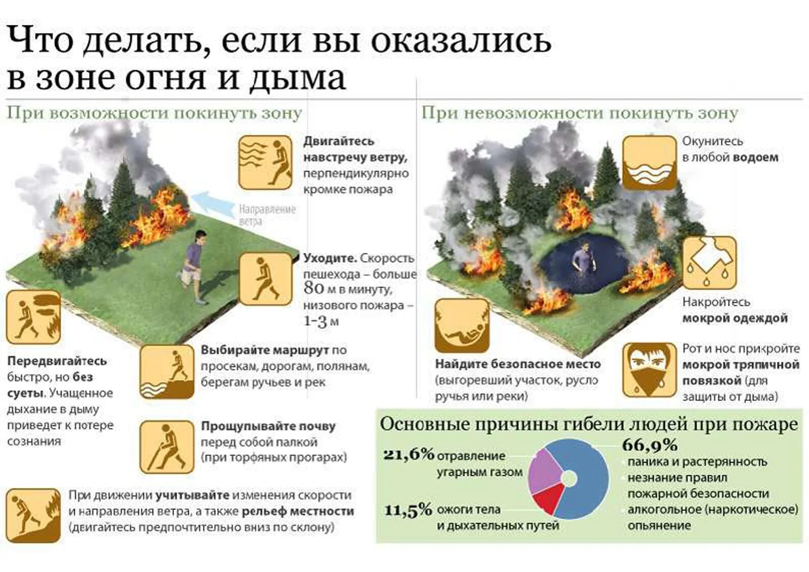 Как выйти из лесного пожара