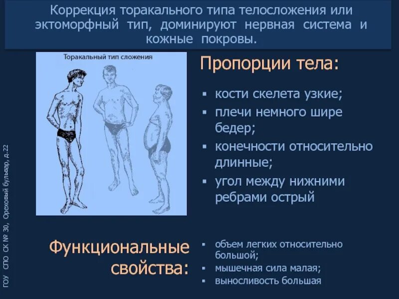 Схема штефко и островского. Торакальный тип конституции. Мышечный тип телосложения. Грудной тип телосложения. Мышечный тип телосложения.