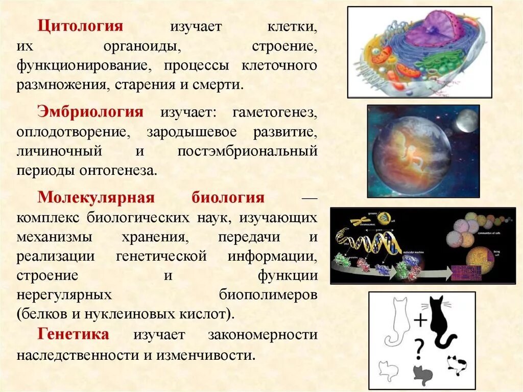 Какая наука изучает рост клетки. Размножение клеток. Какая наука изучает размножение. Наука изучающая размножение клеток. Какая наука изучает клетки.