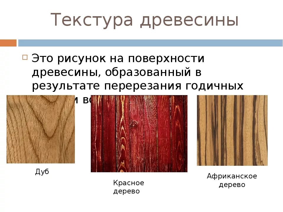 Что такое текстура древесины приведите примеры. Виды текстуры древесины. текстуры пород древесины. рисунок поверхности древесины. образцы древесины.