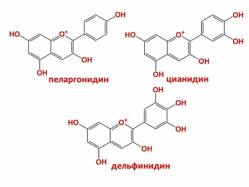 Синтез антоцианов. Пеларгонидин формула. Антоцианы формула. Формула цианидина. Антоцианы формула структурная.