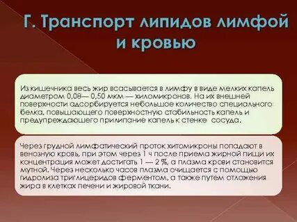 Лимфа жиры