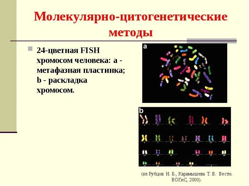 Методы диагностики генетика. Молекулярно-генетический метод диаг. Молекулярно цитологические генетические. Молекулярно цитологические генетические. Молекулярно-биологические доказательства эволюции таблица.