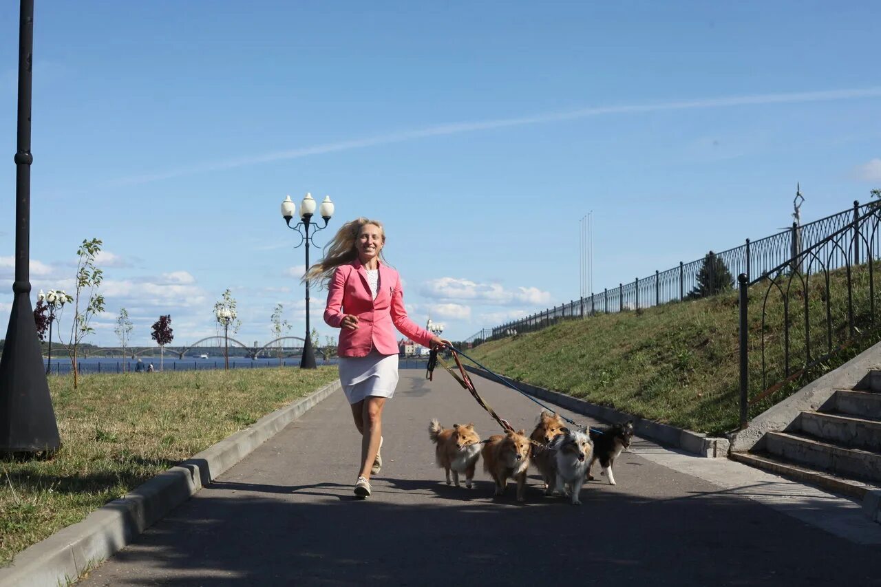 постепенно добрался