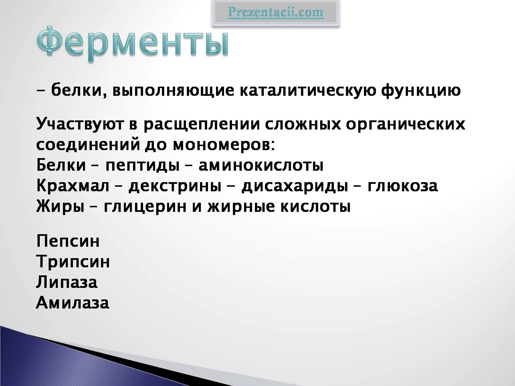 Жиры выполняют каталитическую функцию. Пищеварение в желудке и кишечнике 8 класс биология. таблица пищеварение в желудке и кишечнике 8 класс биология. белки выполняющие каталитическую функцию. пищеварение в желудке и кишечнике презентация 8 класс.