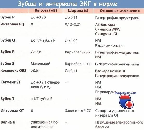 Нормальные показатели интервалов ЭКГ. Параметры ЭКГ В норме таблица. Нормальные показатели зубцов и интервалов ЭКГ. Нормы ЭКГ У взрослых таблица. Зубцы экг в норме