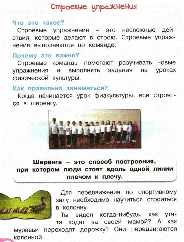 Какое строевые упражнения. Строевые команды на уроке физкультуры. строевые упражнения в школе. строевой шаг это в физкультуре. строевые упражнения на уроках физкультуры.