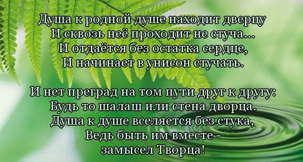 Родственные души стихи. Стихи родному человеку. Стихи о родственных душах. Стихи о родных душах. Родная душа отзывы