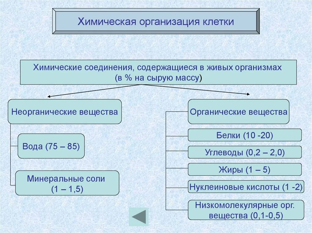 Что такое органические и неорганические вещества. Химическая организация клетки органические вещества клетки. Составление таблицы по теме химическая организация клетки. Химическая организация клетки таблица вещества. Хим состав клетки таблица 10 класс.