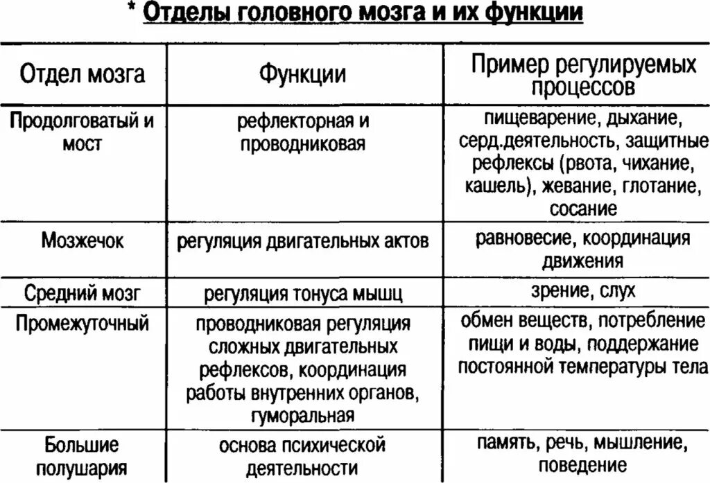 Таблица по биологии отдел мозга функции