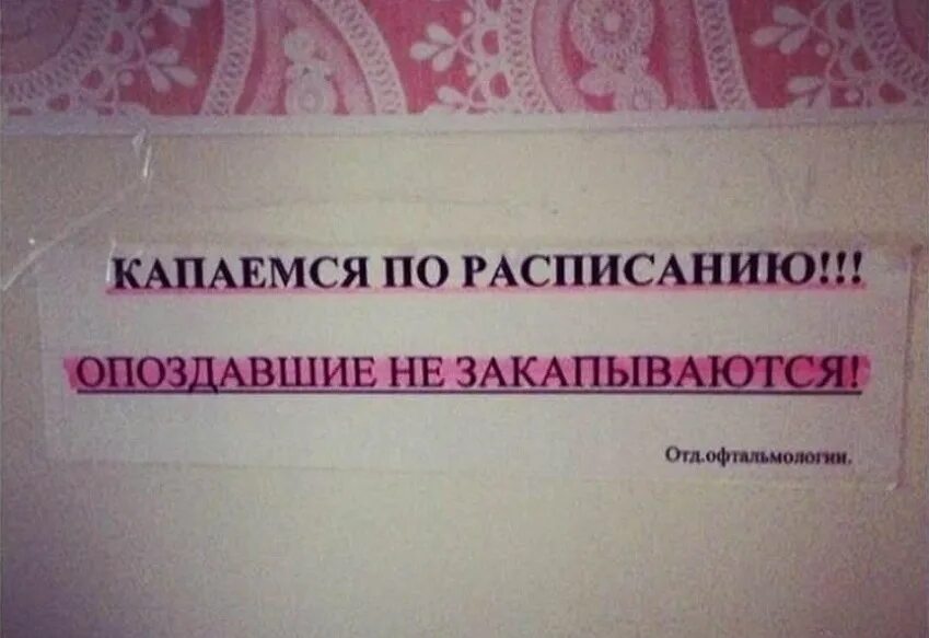 Огород на даче. Капаться. Капаться. Куда надо капать капли в глаза. Капаться.