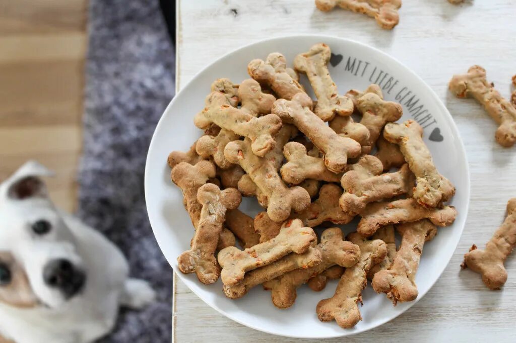 Почему собаке сладкое. Лакомства для собак. Собачьи вкусняшки. Сладости для собак. Лакомства для собак своими руками.