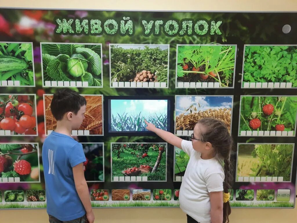 В живом уголке 4. Интерактивный живой уголок. Живой уголок в школе. Стенд живой уголок. Живой уголок афиша.