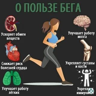 Сколько бегать чтобы сжечь жир
