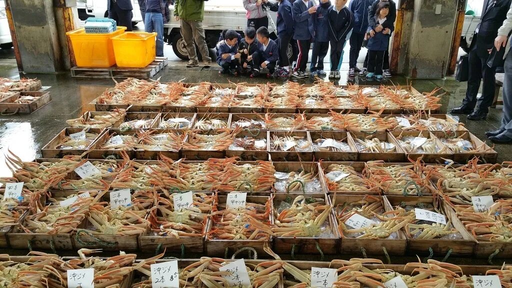 Рыбный рынок Япония аукцион. Торги рыбой. Аукцион япония ру