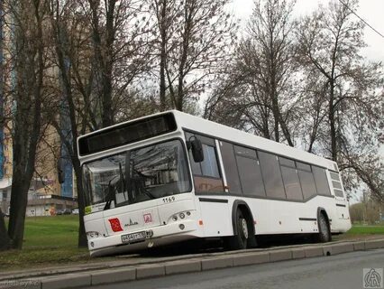 Автобусов 484