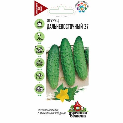 Огурец дальневосточный 27 описание сорта. Огурец дальневосточный 27 характеристика. огурцы дамские пальчики. семена огурцов дамские пальчики. огурцы дамские пальчики семена.