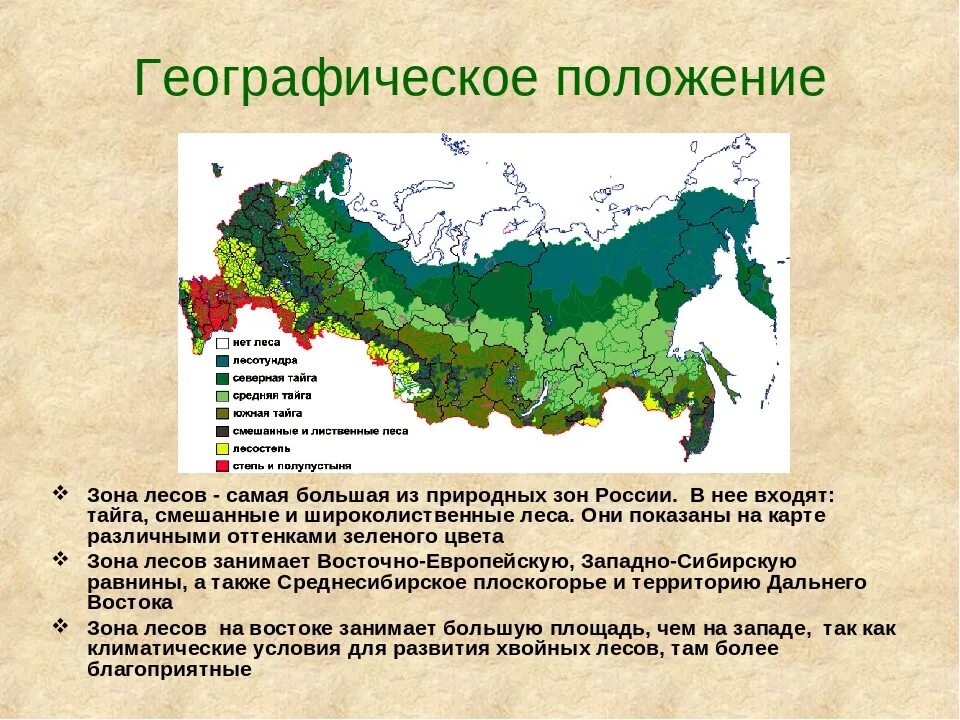 Зона смешанных и широколиственных лесов на карте России. Зона расположения смешанных и широколиственных лесов на карте России. Где находятся широколиственные леса на карте. Зона широколиственных лесов на карте России.