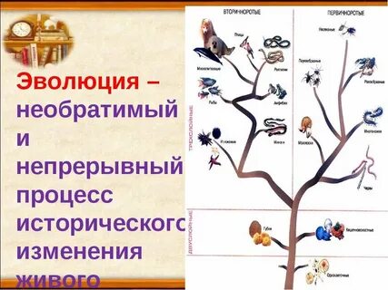 Процесс эволюционного развития культуры