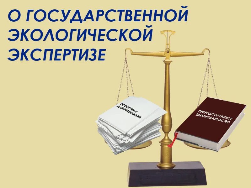 Государственная среда общества. Экологическая экспертиза. Экологическая экспертиза проектов. Государственная и общественная экологическая экспертиза. Государственная экологическая экспертиза проектов.