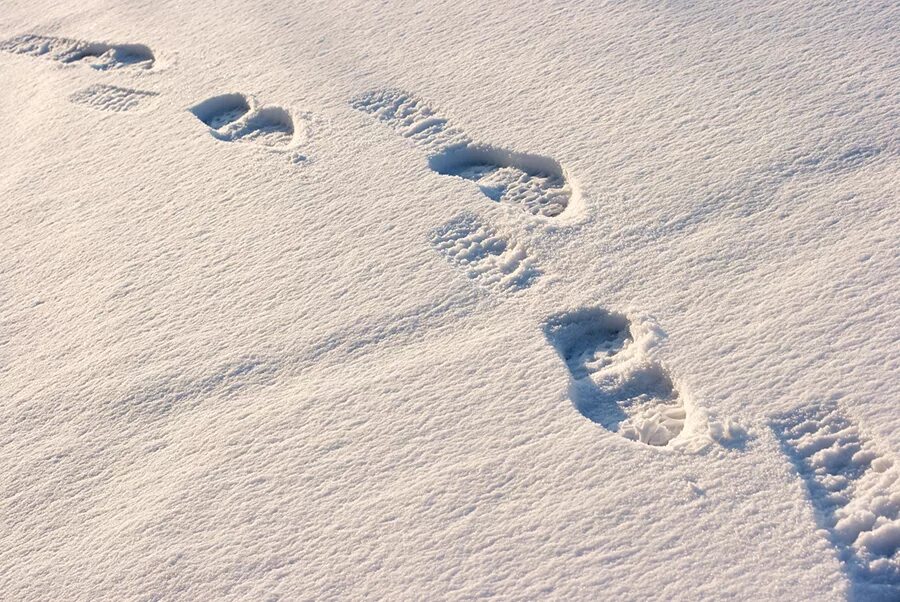 Морозный след. Следы ботинок на снегу. Ледяные следы. Следы оленя на снегу. Ледяные следы.