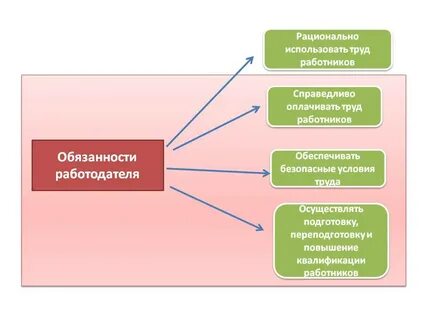 Повышение квалификации работников обязанности