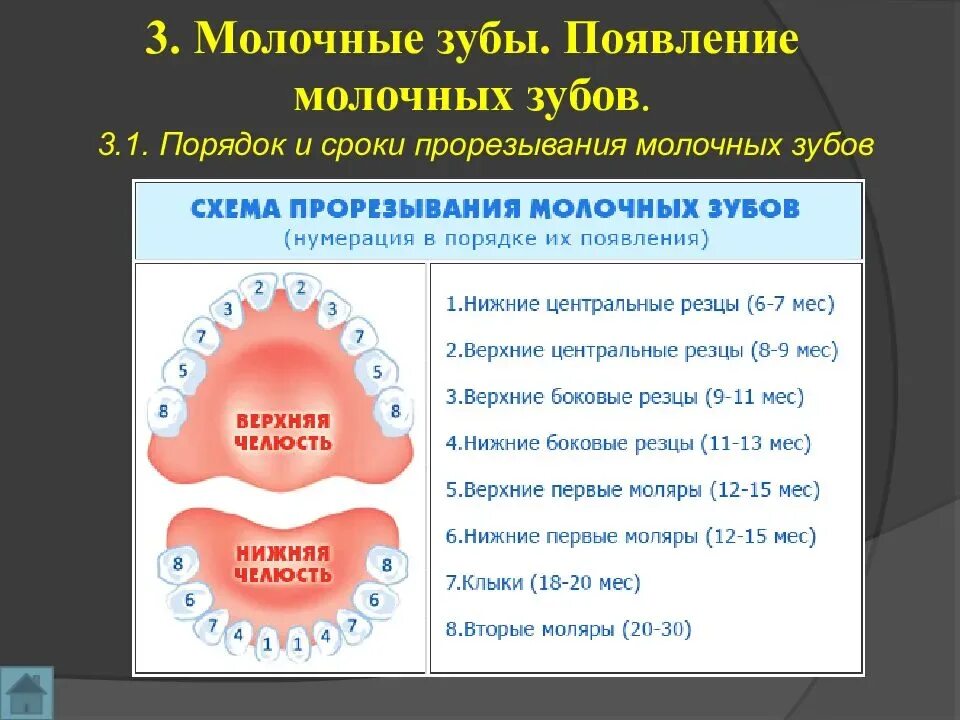 Температура лезут зубы что делать. Температура лезут зубы что делать