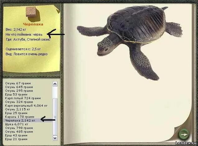 русская рыбалка базы нил черепаха мягкокожая. каймановая черепаха рыбачит. 6 черепаха. ловушка для черепах. русская рыбалка 3 черепаха.