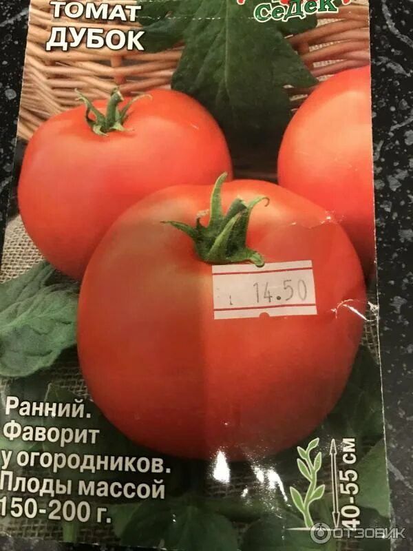 Томаты дубок отзывы описание сорта. Томат дубок. томаты дубок отзывы фото. томат дубок седек ц. помидоры дубок описание сорта.