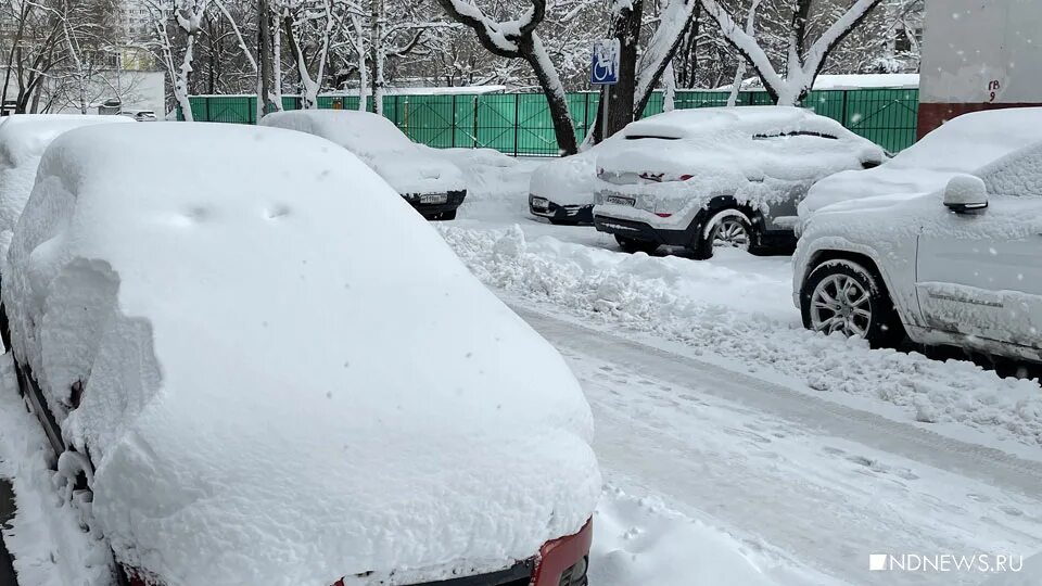 Сколько сегодня снег