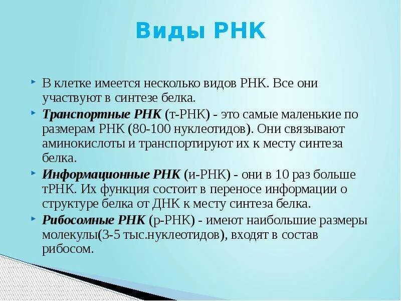 Виды РНК. РНК виды РНК. Несколько существует несколько видов РНК.