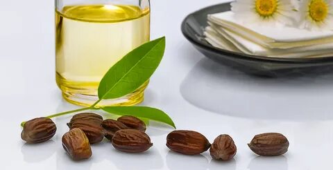 Jojoba oil