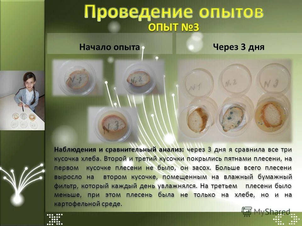 Опыт выращивание плесени на хлебе. Выращивание плесени на хлебе. Опыты с плесенью. Опыт с хлебом и плесенью 5 класс биология. Опыт с хлебом и плесенью.