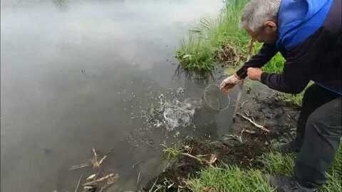 Новый ловить