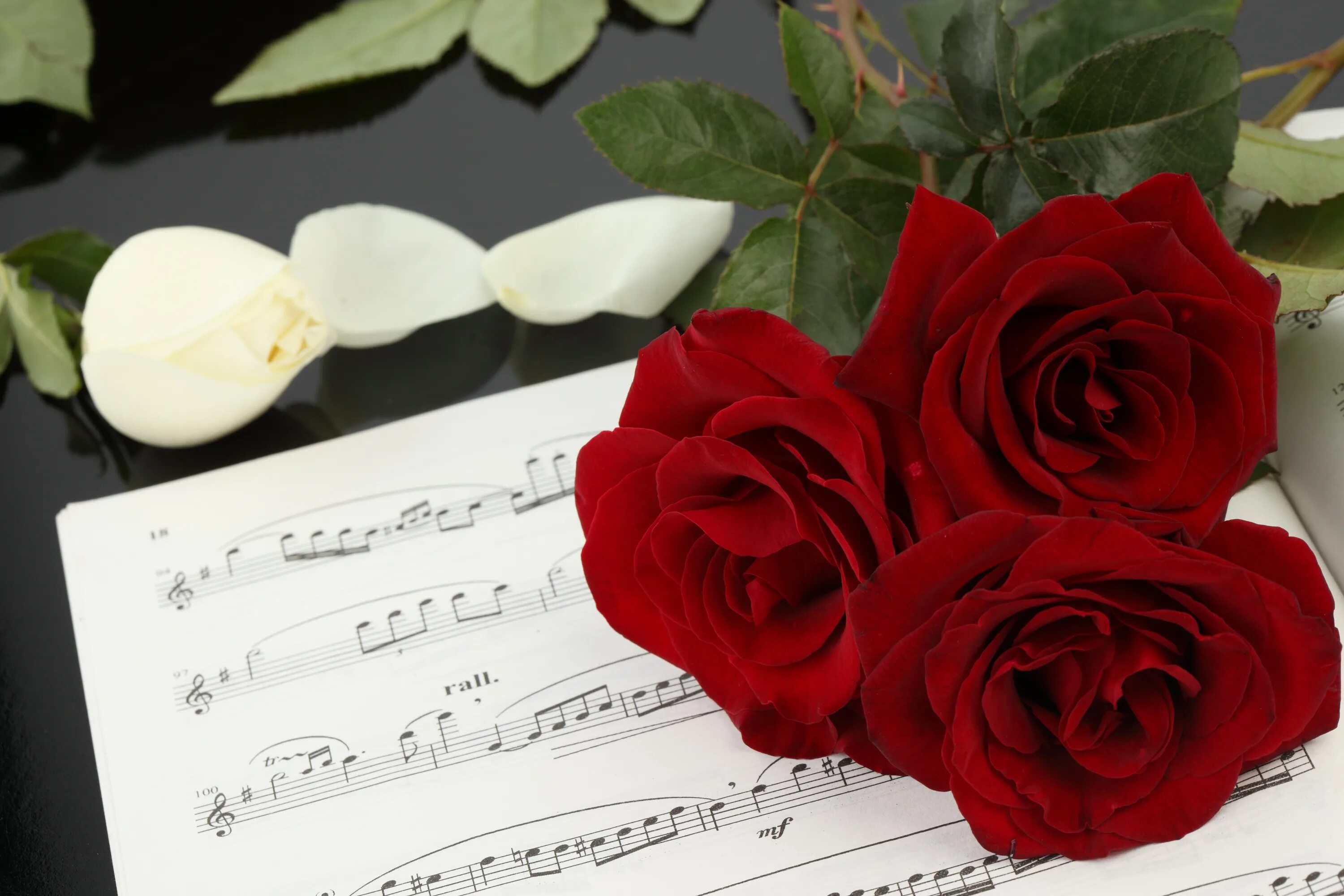 Музыка цветов мп3. Ноты и цветы. Цветы на рояле. Розы и Ноты. Музыкальный цветок.