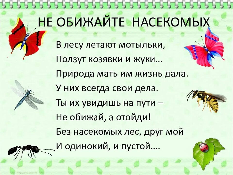 Загадки про насекомых для детей. Стихи про насекомых. Стихи про насекомых для дошкольников. Стишки про насекомых для детей. Насекомые 2 младшая группа