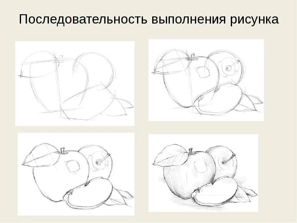Начальные этапы рисования. Этапы рисования цветка. Поэтапное рисование животных. Простые схемы для рисования для детей. Срисовать рисунки.